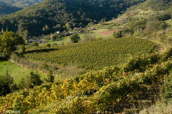 Vignoble d'Estaing, Aveyron