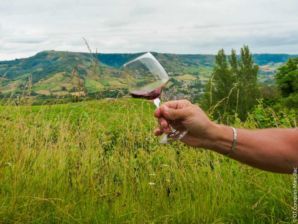 Dégustation de vin de Marcillac, Aveyron