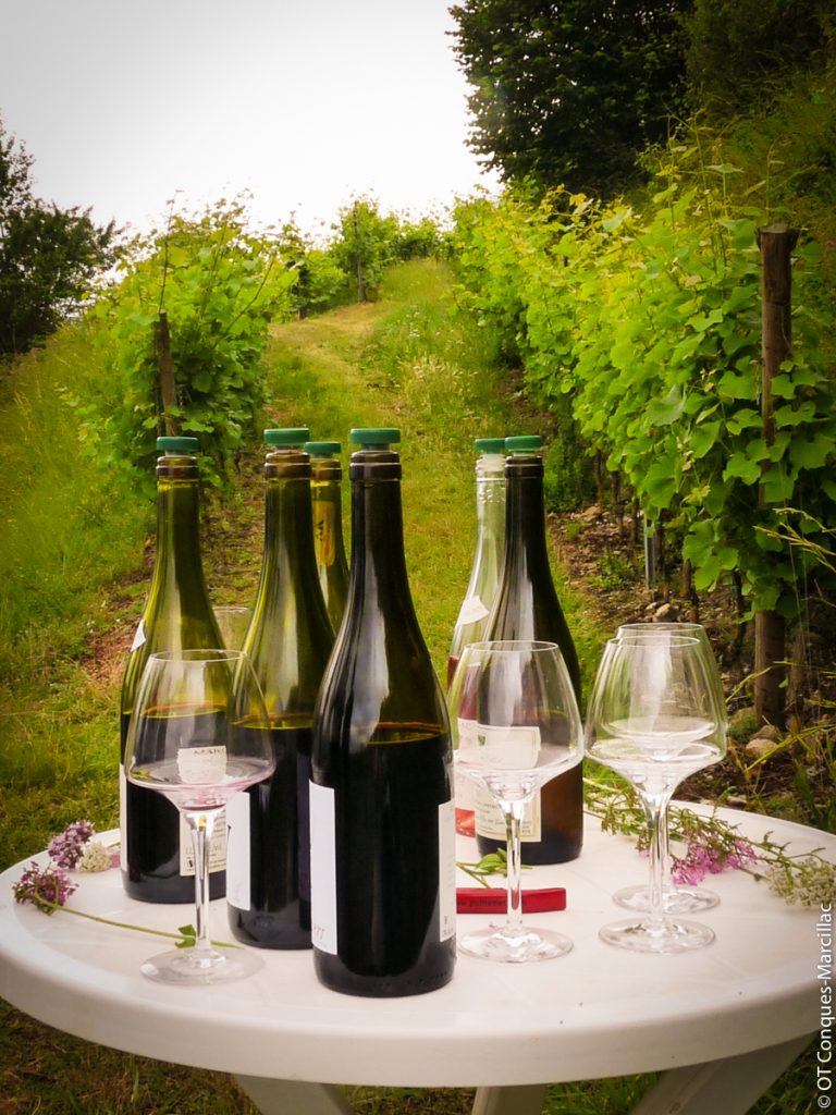 Dégustation de vin de Marcillac au Domaine du Cros, Aveyron