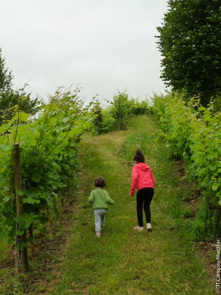 Enfants dans les vignes du Domaine du Cros, Marcillac, Aveyron