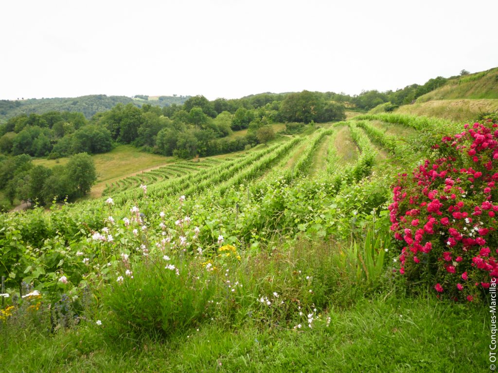 Vignoble Domaine du Cros, Marcillac, Aveyron